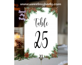 Pine Cone Table numbers,Winter wedding table numbers,(119w)